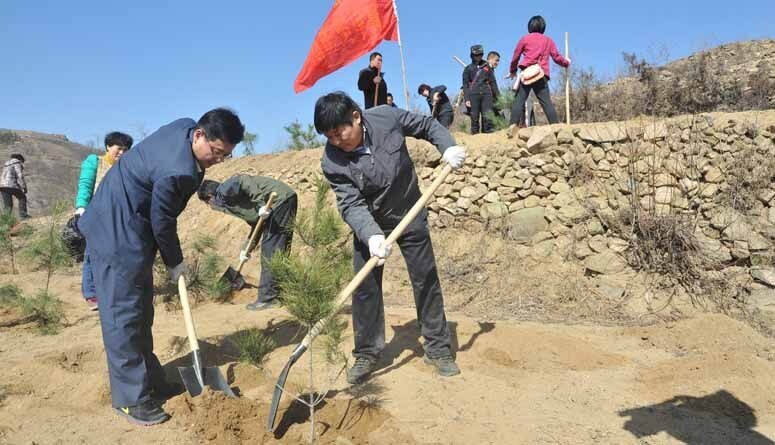 植树节到承建的绿化林植树